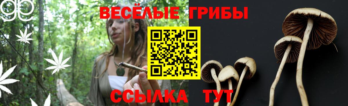 Псилоцибиновые грибы Cubensis  Вход с VPN  Альметьевск 